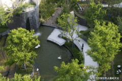 以分歧植被打制【樱花道】【喷鼻樟林】【金桂